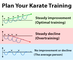 How To Plan Your Karate Training According To Science