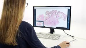 How to Keep On Learning with Virtual Education