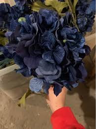We did not find results for: Hobby Lobby Large Blue Fake Flowers Household Items Omaha Nebraska Facebook Marketplace