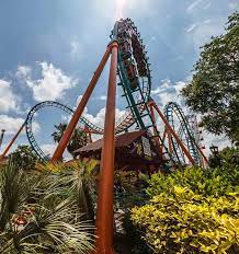 Maybe you would like to learn more about one of these? Thrill Rides Six Flags Fiesta Texas