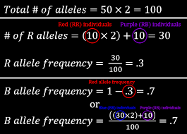 1) sexual reproduction alone does not lead to evolution 2) the frequency of each allele in a gene pool will remain constant unless other factors are. How To Use Chi Squared To Test For Hardy Weinberg Equilibrium