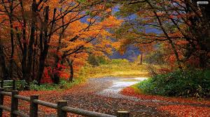 Find and download backgrounds sceneries free download wallpapers, total 14 desktop background. Free Scenery Backgrounds Wallpaper Cave