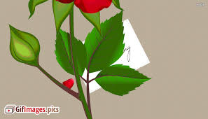 With tenor, maker of gif keyboard, add popular flower animated gifs to your conversations. Flowers Animated Gif Images