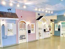 The dog will be looked after by a caring staff who will take the time… Canine Rehabilitation Center And Sanctuary Dog Boarding Facility Dog Boarding Kennels Dog Grooming Salons