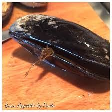 Sono cozze col guscio ripieno di un composto fatto di pangrattato, aglio, olio extra vergine di oliva, prezzemolo che darà alle cozze gratinate quella crosta tipica che va a inglobare il. Cozze Gratinate In Padella