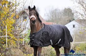 Zusätzlich kann man sich dann für eine dünne decke entscheiden. Die Ubergangszeit Eindecken Umdecken Ausdecken