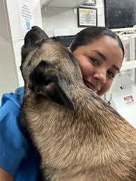 Maria and Nancy are excellent vets and will come to your house. Maria  speaks English also. Very kind and gentle. Great diagnostic skills.