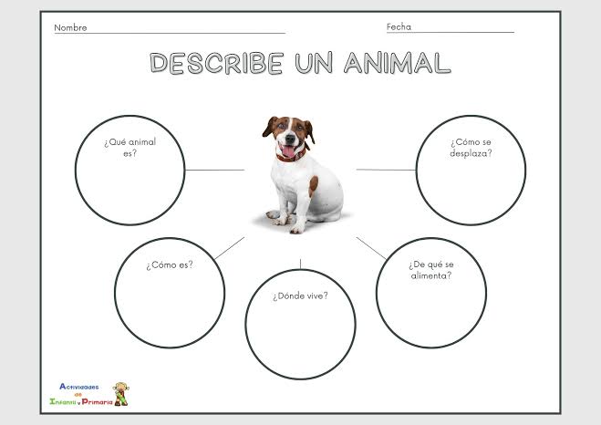 describir animales (3) - Actividades de infantil y primaria