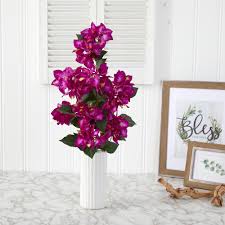 At the moment the plants are blooming but we will. Bougainvillea Bush Home Depot