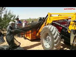 Machine De Recolte Mecanique D Olives Buggy Eco500 Pellenc Socoopec Youtube