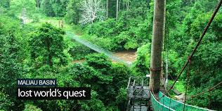 A huge bowl of pristine forests described as one of the few remaining relatively untouched wilderness areas in the world. Maliau Basin Sabah Malaysia