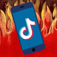 Thử vận may phải chấp nhận hên xui. Tiktok Memes Like Ww3 Impeachment And Australian Fires Prove The Platform Is Political Vox