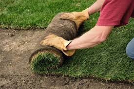 How to prepare your soil and lay sod. How To Lay Sod On An Existing Lawn Hgtv
