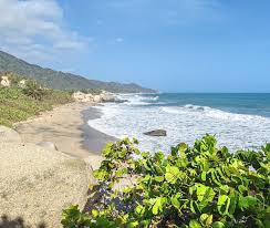 Kolumbia: Tayronan kansallispuisto ja Palomino