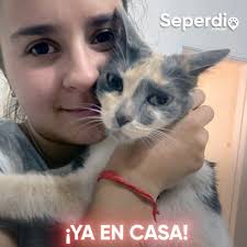 Me Perdi , Me Encontraron