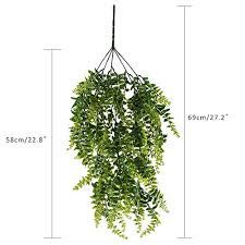 Check spelling or type a new query. Huaesin 2pcs Artificiale Da Appendere Boston Ferns Climbing Falso Vite Piante Piante Pendenti In Plastica Hanging Greenery Piante Per Interni Outdside Planter Wedding Decor Decorazioni Per Interni Casa E Cucina Zlineproducts Com