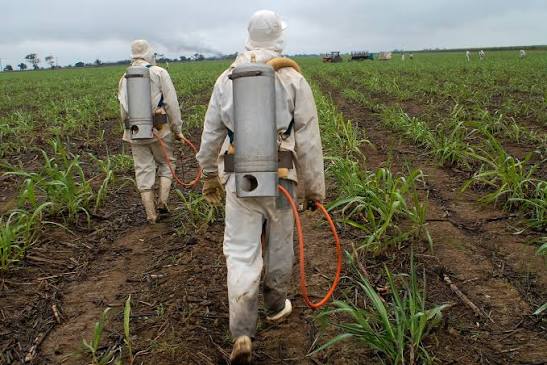 Phân tích dư lượng thuốc bảo vệ thực vật - Eurofins Scientific