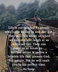 Just click the edit page button at the bottom of the page or learn more in the quotes submission guide. 54 Kelly S Treehouse Ideas In 2021 Kelly Tree House Kelly S