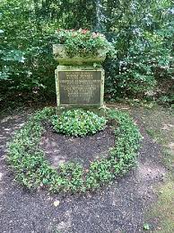 Image result for Hypolytrum heteromorphum