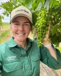 Queensland cropping and horticulture agronomists delivering for their  clients