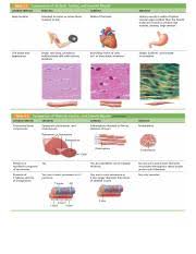 muscle lab table 9 3 comparison of skeletal cardiac and