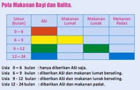 Membuat jadwal makan bayi 6 bulan. 4 Poin Penting Yang Sebaiknya Kamu Ketahui Tentang Mp Asi Linisehat Com