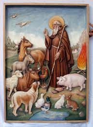 O sant'antonio, gentilissimo fra tutti i santi, il tuo amore per dio e per le creature t'è valso su questa terra poteri miracolosi. Perche Sant Antonio Del Porcello E Cosi Popolare In Bergamasca Prima Bergamo
