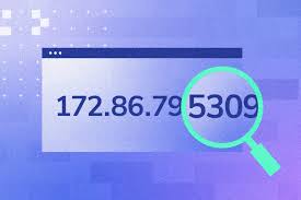 Image result for IP Address