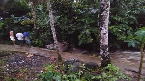 Check spelling or type a new query. Hanyut Terbawa Arus Sungai Bocah Lima Tahun Meninggal Dunia Pamarta Nusantara