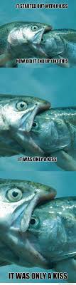 It Started Out With A Kiss Fish Meme Jpg 422 1 573 Pixels Funny Pictures Funny Animal Memes Laugh