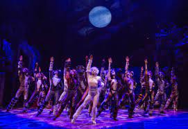 The phantom of the opera, the 1996 revival of chicago, the lion king, wicked, the book of mormon, aladdin, hamilton, dear evan hansen, and come from away Relive The 2016 Broadway Revival Of Cats Playbill