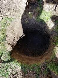 This will need to be sent to the health department and the zoning boards to. Diy Dog Septic Tank Diy