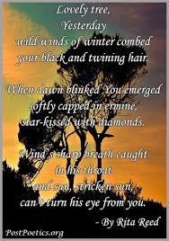 Poetry On Nature Poems Beautiful Nature Poem Nature Beauty