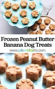 Frozen Peanut Butter Banana Dog Treats Recipe In 2021 Dog Biscuit Recipes Healthy Dog Treats Homemade Frozen Dog Treats