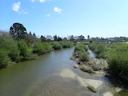 For 80+ years san lorenzo lumber has provided the santa cruz/salinas area with high quality lumber, building materials, tools, doors, windows and decking. Heart Of Santa Cruz Updates From The State Of The San Lorenzo Symposium Fishbio Fisheries Research Monitoring And Conservation