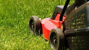 Je nach rasenfläche kann sich das mähen von ein paar minuten bis über stunden hinziehen und der monotone lärm die ganze nachbarschaft. Rasenmahen Am Samstag Was Sie Dazu Wissen Sollten Heimhelden