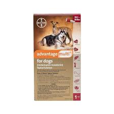 Advantage ii for dogs dosage fleascience. Advantage Multi For Dogs Free 2 Day Shipping Walmartpetrx Com