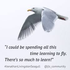 jonathanlivingstonseagull jonathan livingston seagull livingston learn to fly