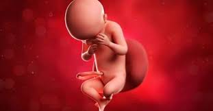 30 Semanas De Gestacao O Bebe Sintomas E Exames