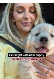 Driving Home to My Dog