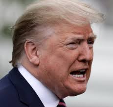 Kelly Bergmann Lobach (@LobachKelly)