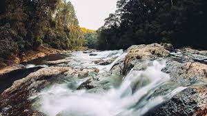 Ernest Larry Kear Obituary