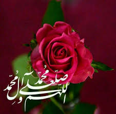 صلوا على بدر التمام ورسول الانام المبعوث رحمة للعالمين اللهم صل على محمد وال محمد rose flowers plants