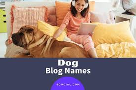 If your dog looks like she has a unibrow, frida (khalo) would be a funny dog name. 1375 Catchy Dog Blog Names Cute And Funny Soocial