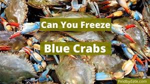 #crab #bluecrab #oldbayseasoning come say hi: Can You Freeze Blue Crabs How To Clean Blue Crabs