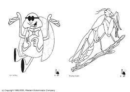My little pony background coloring pages. Coloring Page Insects Free Printable Coloring Pages Img 6138