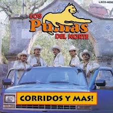Después de ser una de las figuras del jaguares xv campeón de la última edición de. Pumas Del Norte Corridos Y Mas Amazon Com Music