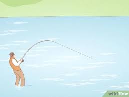 3 Ways To Become A Professional Fisherman Wikihow