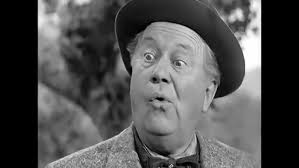 Ever wonder about Uncle Joe from Petticoat Junction? Meet DOCTOR! Edgar  Buchanan.