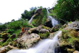  Pesona Air Terjun Gedad Playen Gunungkidul  Wisata Air Terjun Gedad Yogyakarta